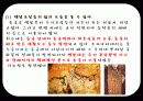 [관광학원론] 동굴 15페이지
