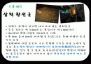 [관광학원론] 동굴 18페이지