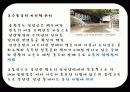 [관광학원론] 동굴 23페이지