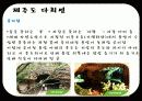 [관광학원론] 동굴 41페이지