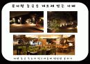 [관광학원론] 동굴 42페이지