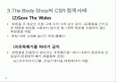 사회적 마케팅의 실현 - 포스코(POSCO), 더바디샵(The Body Shop) 29페이지