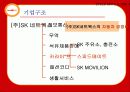 스피드 메이트(SPEED MATE)의 마케팅 성공 요인 분석 5페이지