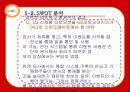스피드 메이트(SPEED MATE)의 마케팅 성공 요인 분석 51페이지