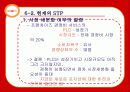 스피드 메이트(SPEED MATE)의 마케팅 성공 요인 분석 68페이지