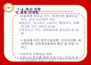 스피드 메이트(SPEED MATE)의 마케팅 성공 요인 분석 89페이지