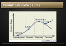 [Business Plan] 광동제약(Kwang Dong)  15페이지