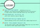 Triangle Project 10페이지