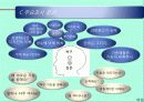 Triangle Project 19페이지