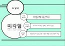 Triangle Project 24페이지