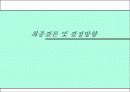 Triangle Project 34페이지