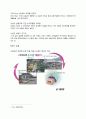 선풍기 시장 28페이지