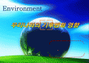 Environment - 우리나라의 기후변화 영향 2페이지