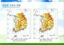 Environment - 우리나라의 기후변화 영향 12페이지