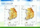 Environment - 우리나라의 기후변화 영향 13페이지