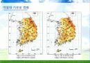 Environment - 우리나라의 기후변화 영향 14페이지