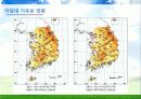 Environment - 우리나라의 기후변화 영향 15페이지