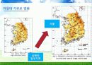 Environment - 우리나라의 기후변화 영향 16페이지