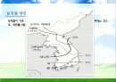Environment - 우리나라의 기후변화 영향 33페이지