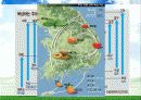 Environment - 우리나라의 기후변화 영향 35페이지