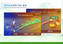 Environment - 우리나라의 기후변화 영향 43페이지