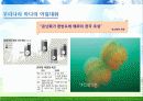 Environment - 우리나라의 기후변화 영향 48페이지
