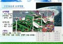 Environment - 우리나라의 기후변화 영향 49페이지