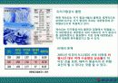 대한항공 (KOREAN AIR) 13페이지