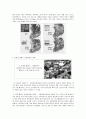 기후변화에 따른 우리나라 영향,마케팅,브랜드,브랜드마케팅,기업,서비스마케팅,글로벌,경영,시장,사례,swot,stp,4p 10페이지