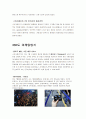 스타크래프트(STARCRAFT) 2의 한국 시장공략 마케팅 7페이지