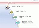 롤리타렘피카, 프랑스에서의 마케팅전략 6페이지