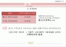 롤리타렘피카, 프랑스에서의 마케팅전략 20페이지