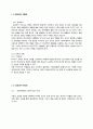 Youth 세대 대상 - 현대자동차 브랜드 이미지 향상 전략 13페이지