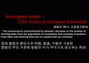꿀벌경제,마케팅,브랜드,브랜드마케팅,기업,서비스마케팅,글로벌,경영,시장,사례,swot,stp,4p 4페이지