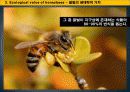 꿀벌경제,마케팅,브랜드,브랜드마케팅,기업,서비스마케팅,글로벌,경영,시장,사례,swot,stp,4p 21페이지