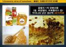 꿀벌경제,마케팅,브랜드,브랜드마케팅,기업,서비스마케팅,글로벌,경영,시장,사례,swot,stp,4p 24페이지
