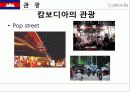 캅보디아,마케팅,브랜드,브랜드마케팅,기업,서비스마케팅,글로벌,경영,시장,사례,swot,stp,4p 50페이지