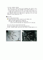 디자인 요소(색채,재질감,빛과운동) 종류 및 특징, 정의, 역사, 당위성, 유래, 원인, 성장배경, 현황, 나아갈 방향 조사분석 10페이지