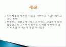 르네상스 미술 탄생배경과 발달과정 개념, 미술의 흐름, 특징, 성격, 작가, 역사, 대표작품들, 분석과 평가, 나의 생각 조사분석 12페이지