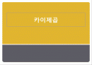 카이제곱 1페이지