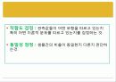 카이제곱 4페이지