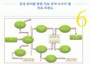 일정 관리를 통한 치료 투약 도우미 앱 19페이지