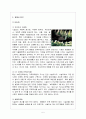 [A+ 마케팅] 더 바디샵(THE BODY SHOP) 기업 및 마케팅 전략 분석 - 시장, 경쟁사, SWOT, STP, 4P 등  7페이지