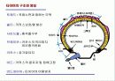 자동차 구조학 23페이지