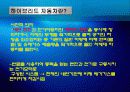 하이브리드 자동차 HEV - Hybrid Car (HEV / PHEV) 3페이지