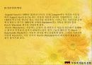 독일의 자동차 문화 (.PPT자료) 33페이지