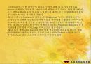 독일의 자동차 문화 (.PPT자료) 50페이지
