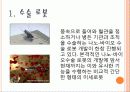 의료로봇 6페이지