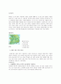 4대강 사업 목적, 내용, 기대효과, 발전방향, 배경, 사례, 행정, 체계, 역할, 운영현황, 극복, 업무, 계획, 현황, 시사점, 문제점, 나아갈 방향 총체적 조사분석 3페이지