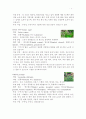 아로마테라피의 종류와 효능 7페이지